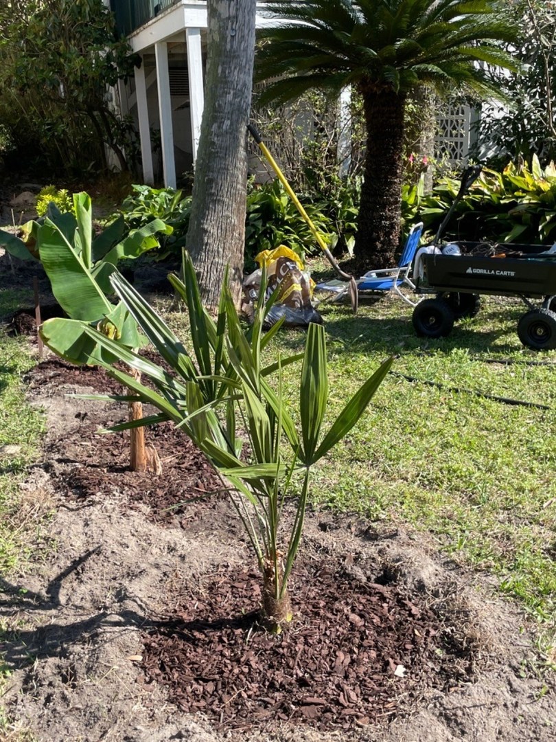 So far so good!